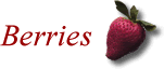 Specialty Items