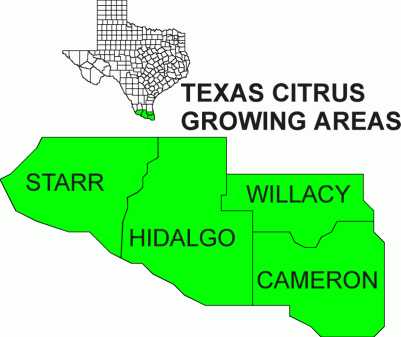 Texas Citrus Growing Areas