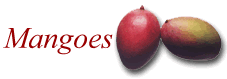 Mangoes