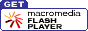 Get Flash Now!