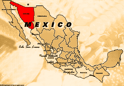 Map of Oranges growing region in northern Mexico