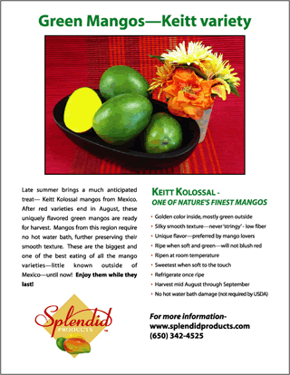 Green keitt Flyer