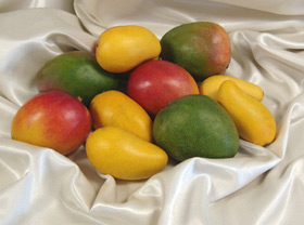 Still Life of Splendid Fruit